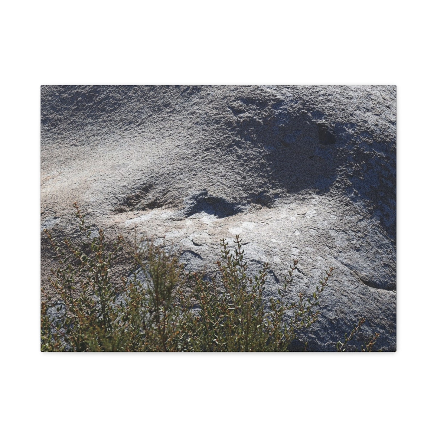 Stone Face in Nature - Unique Frameless Canvas Wall Art