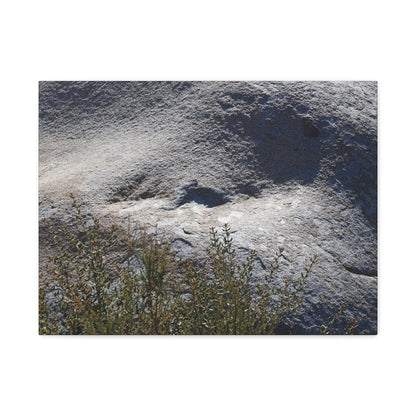 Stone Face in Nature - Unique Frameless Canvas Wall Art