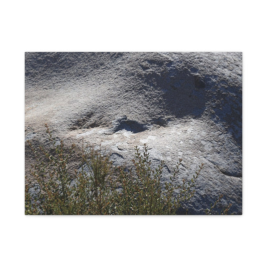 Stone Face in Nature - Unique Frameless Canvas Wall Art