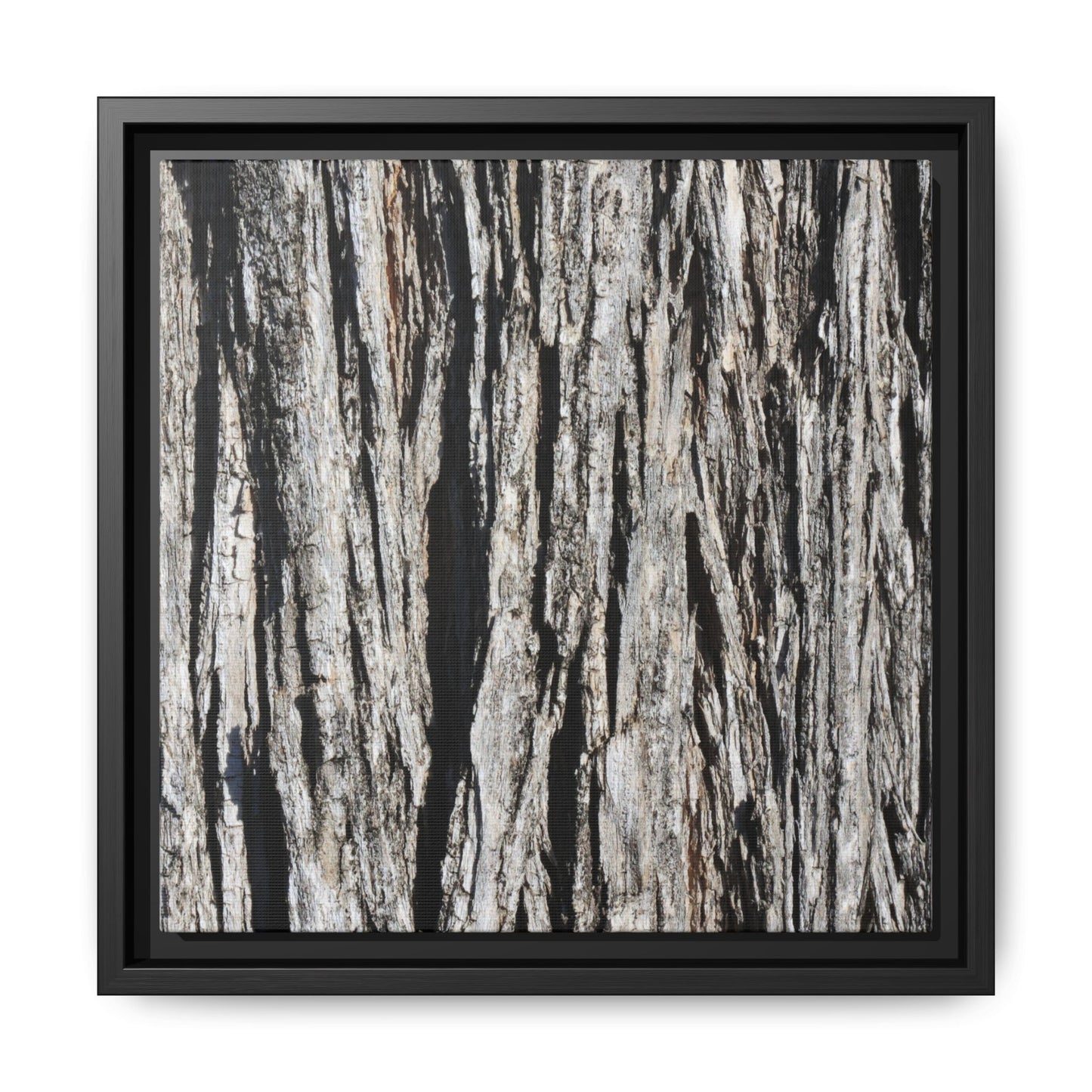 Bark Lines - Unique Stretched Canvas Wall Art - Art By Earth