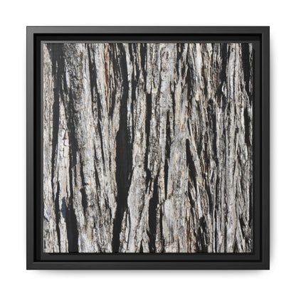 Bark Lines - Unique Stretched Canvas Wall Art - Art By Earth