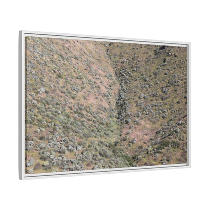 Mountain Slope with Desert Vegetation - Unique Stretched Canvas Wall Art - Art By Earth