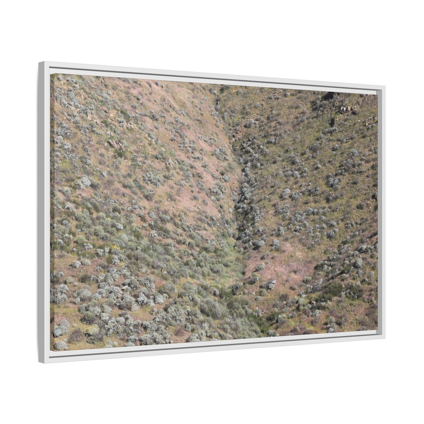 Mountain Slope with Desert Vegetation - Unique Stretched Canvas Wall Art - Art By Earth