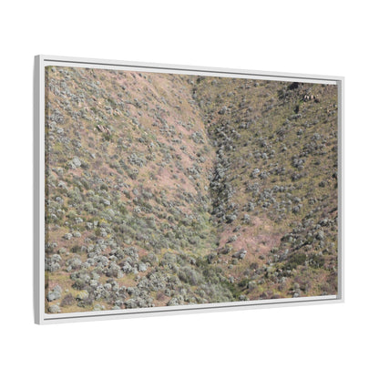 Mountain Slope with Desert Vegetation - Unique Stretched Canvas Wall Art - Art By Earth
