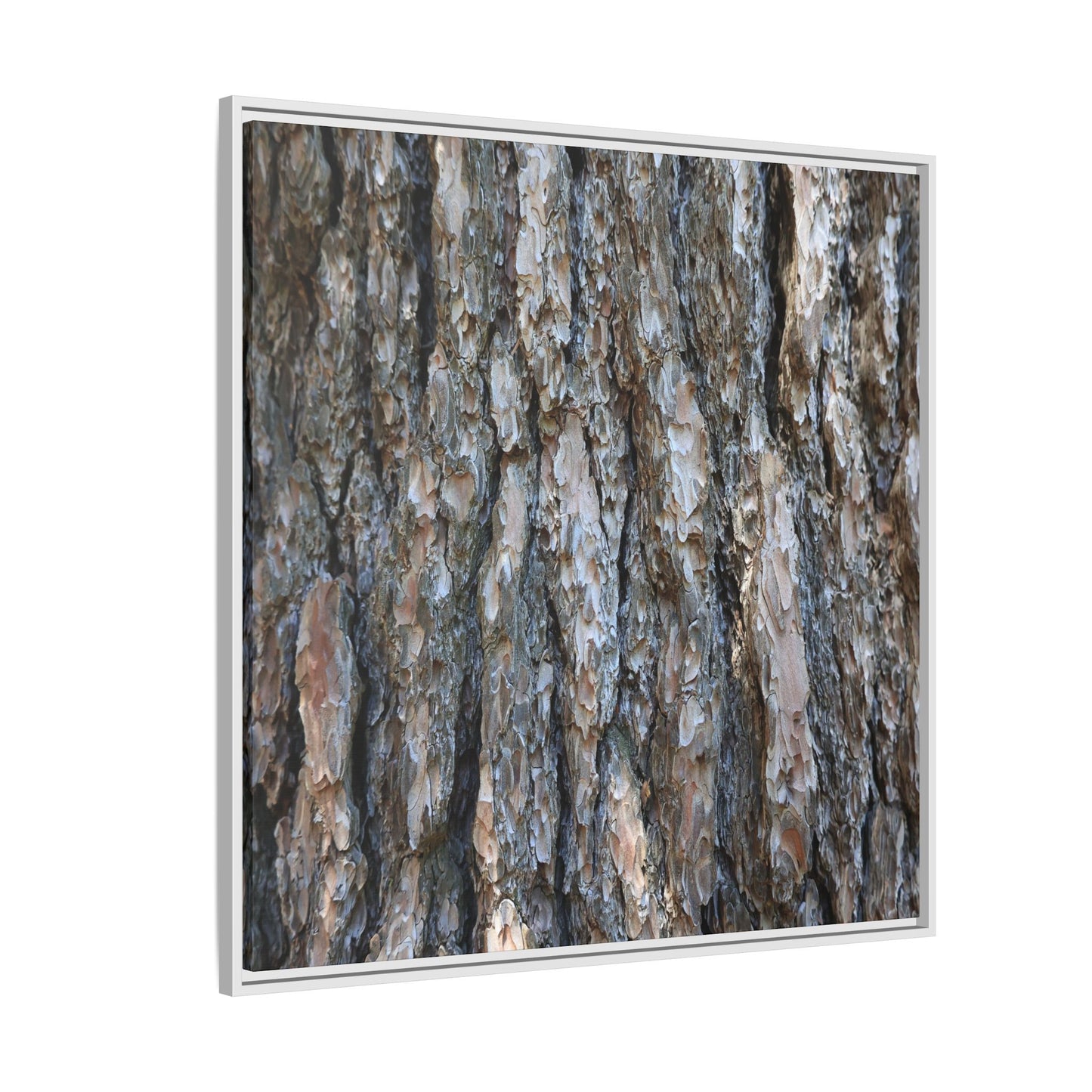 Bark Whispers - Unique Stretched Canvas Wall Art - Art By Earth