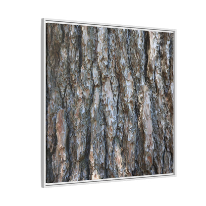 Bark Whispers - Unique Stretched Canvas Wall Art - Art By Earth