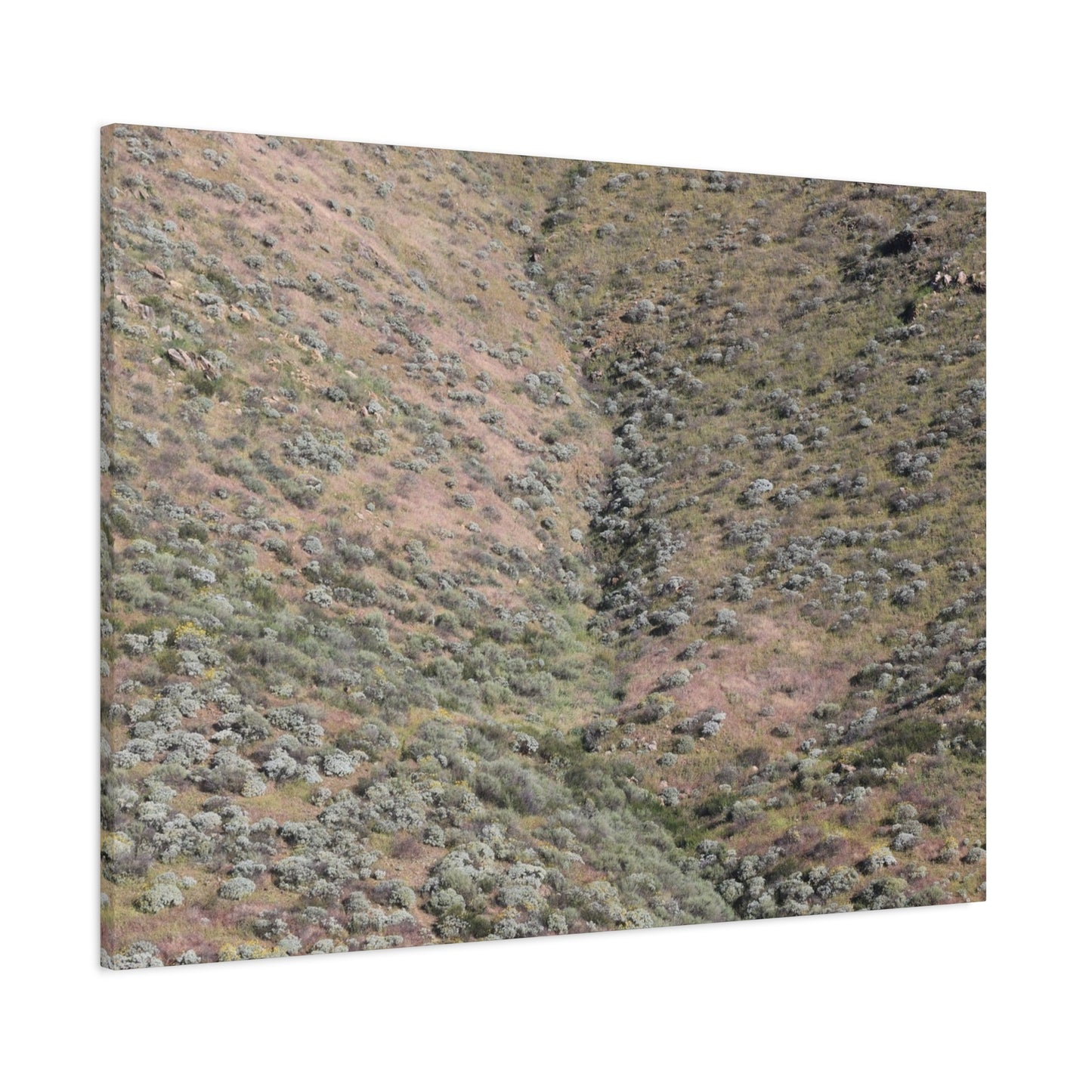 Desert Hillside - Unique Frameless Canvas Wall Art - Art By Earth