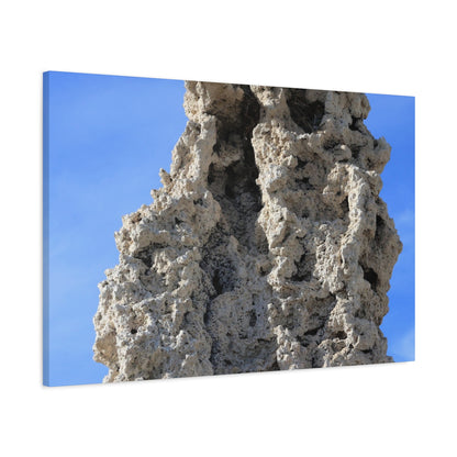 Calcified Whispers - Unique Frameless Canvas Wall Art