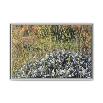 Arid Landscape with Yellow Flowers - Unique Stretched Canvas Wall Art - Art By Earth