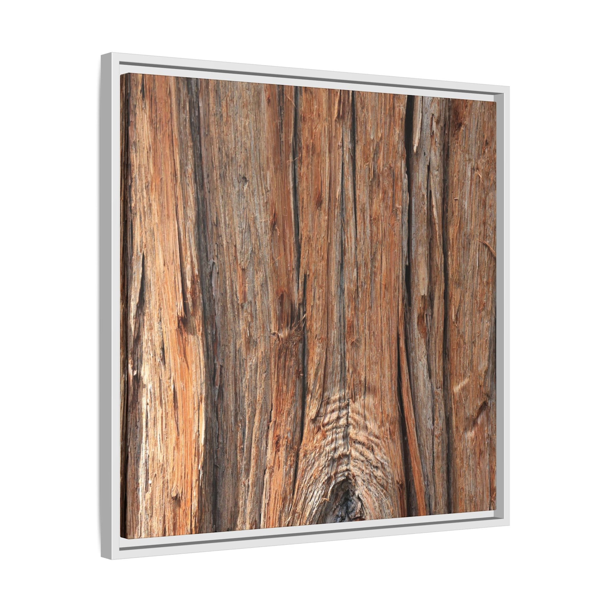 Echoes of Timber - Unique Stretched Canvas Wall Art - Art By Earth