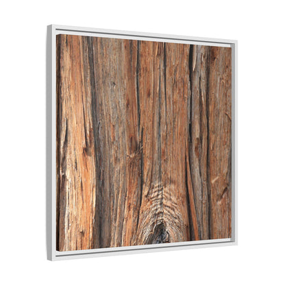 Echoes of Timber - Unique Stretched Canvas Wall Art - Art By Earth
