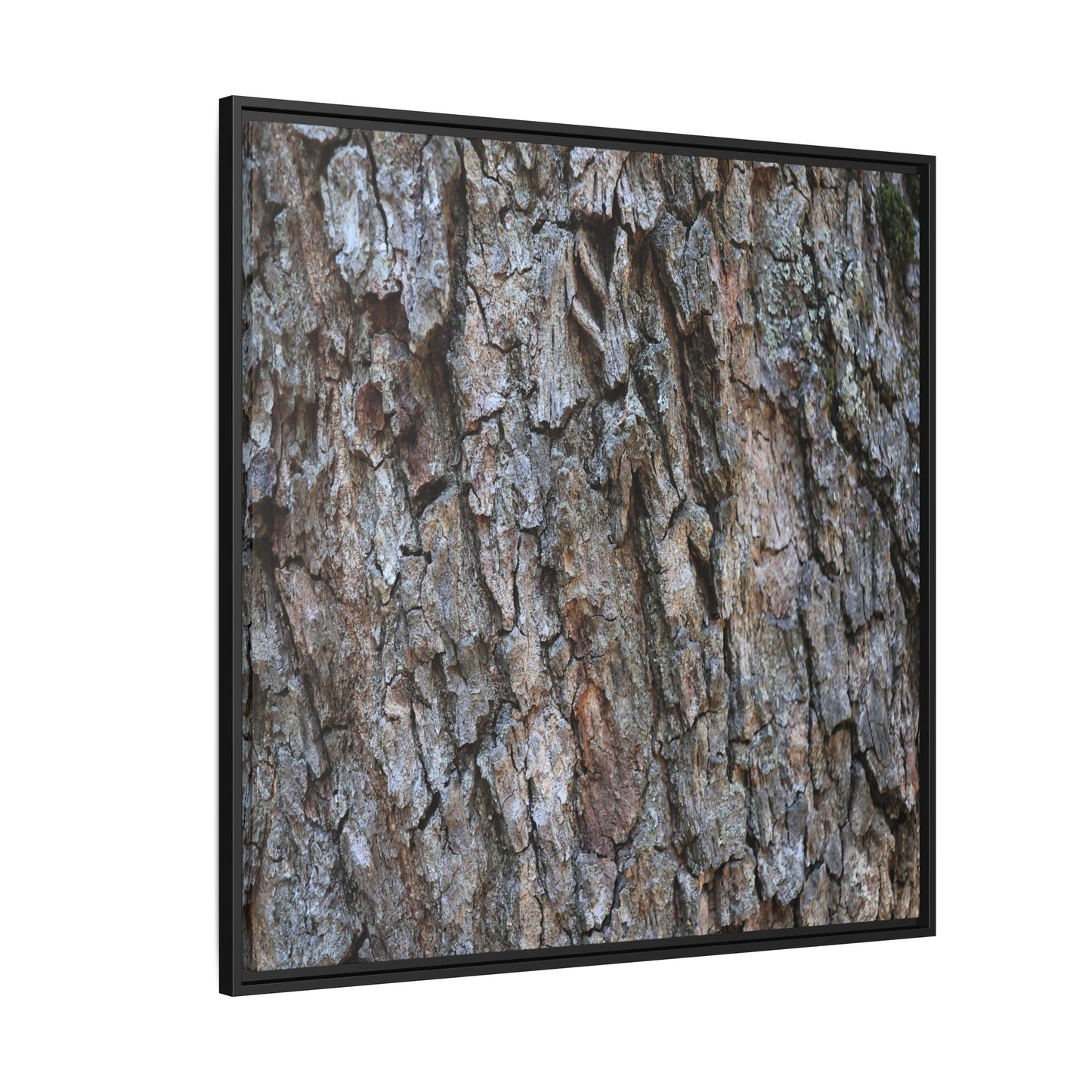 Woodland Skin - Unique Stretched Canvas Wall Art - Art By Earth