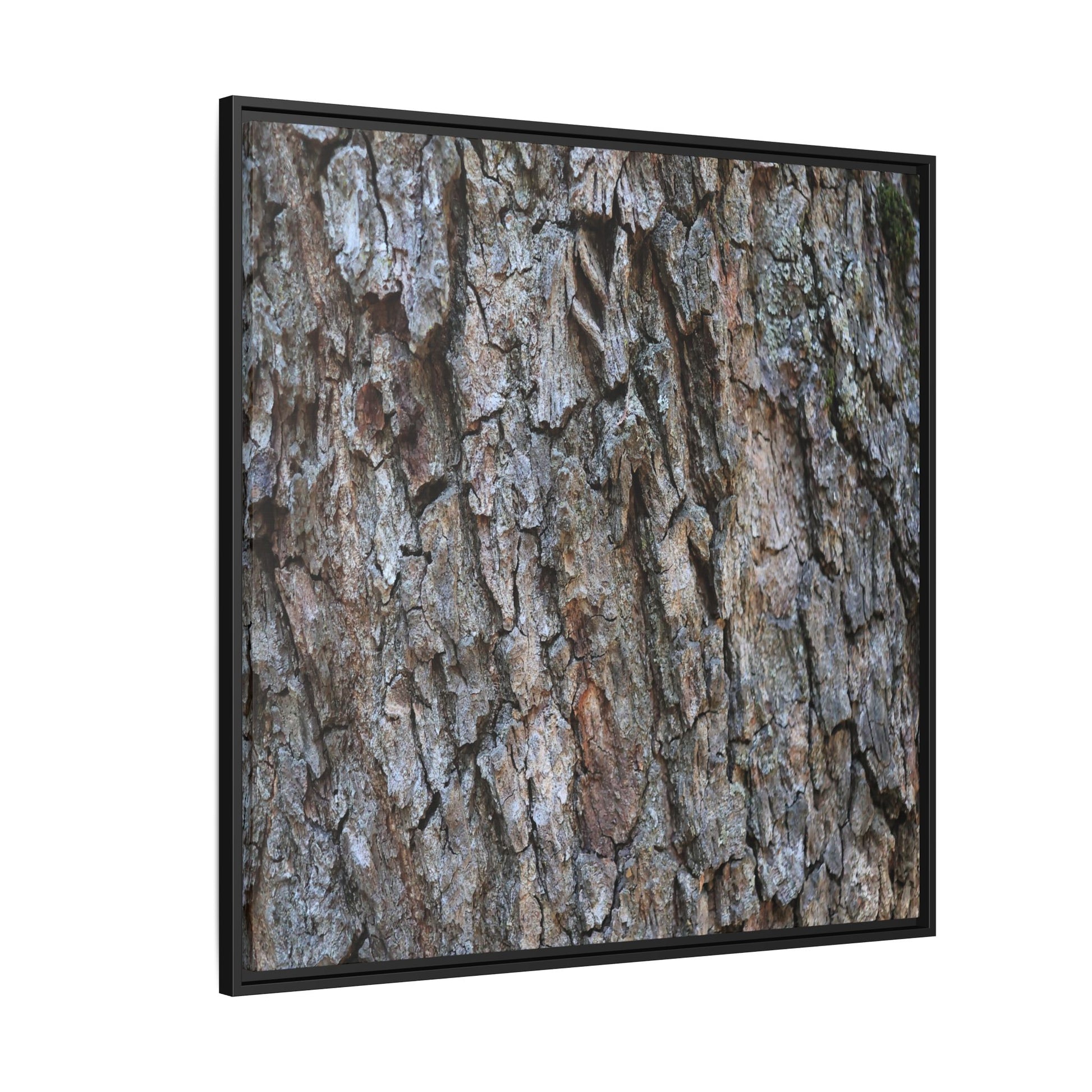 Woodland Skin - Unique Stretched Canvas Wall Art - Art By Earth