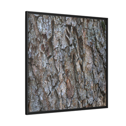 Woodland Skin - Unique Stretched Canvas Wall Art - Art By Earth