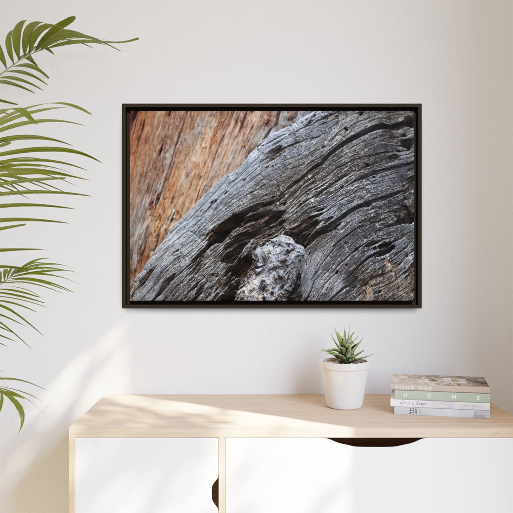 Time's Mark on Timber - Unique Stretched Canvas Wall Art - Art By Earth