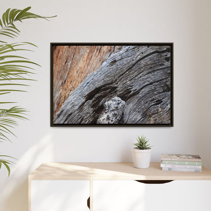 Time's Mark on Timber - Unique Stretched Canvas Wall Art - Art By Earth