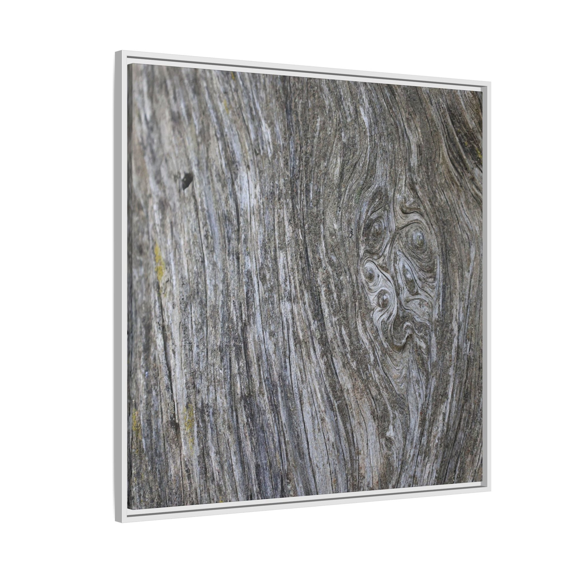 Eternal Knots - Unique Stretched Canvas Wall Art - Art By Earth