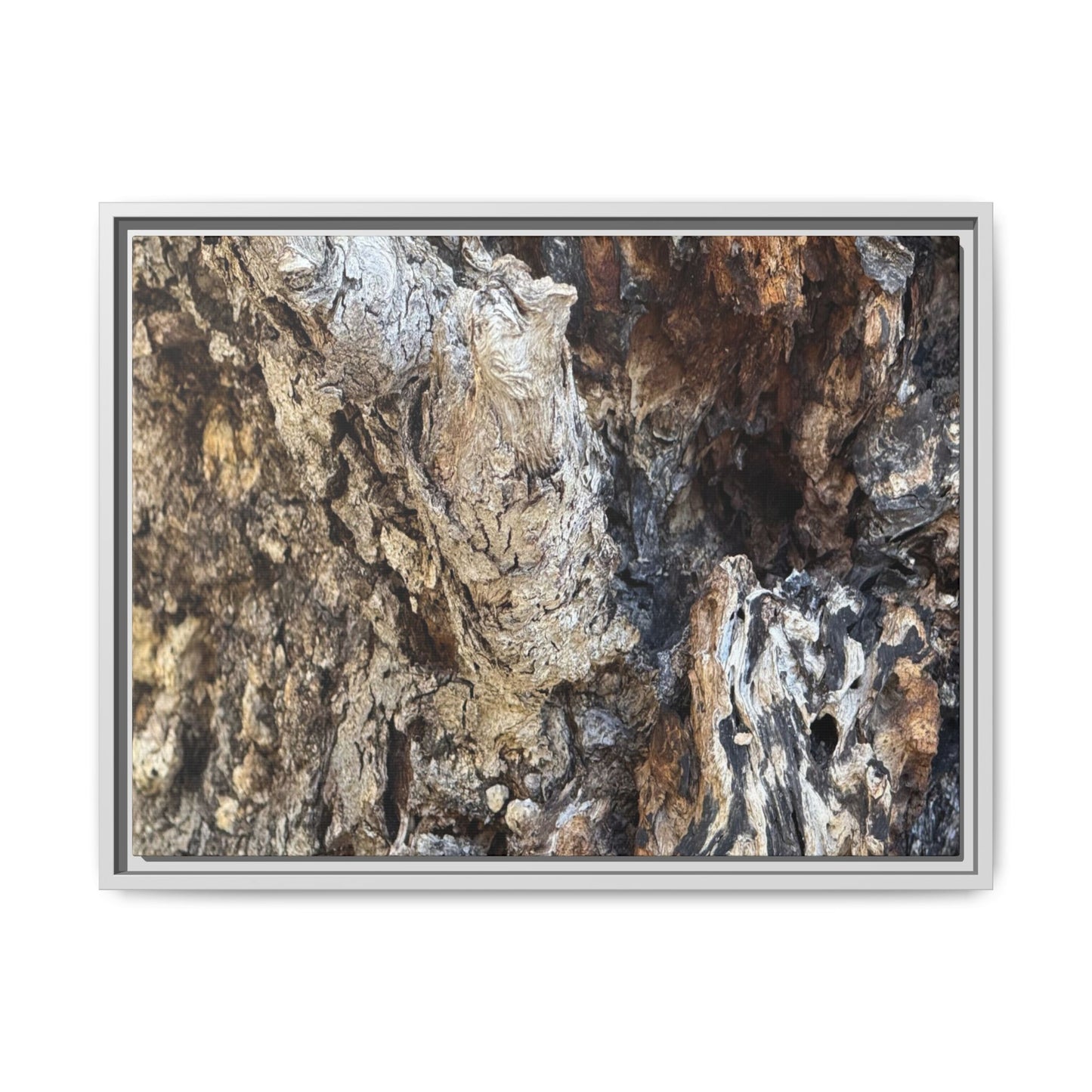 Ancient Tree Texture - Unique Stretched Canvas Wall Art - Art By Earth