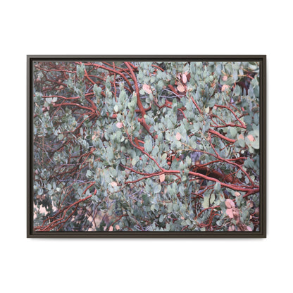 Whispers of Sage - Unique Stretched Canvas Wall Art - Art By Earth