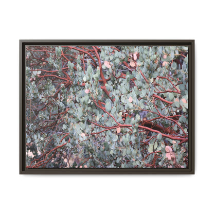 Whispers of Sage - Unique Stretched Canvas Wall Art - Art By Earth