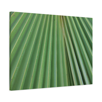 Fan of Green - Unique Frameless Canvas Wall Art - Art By Earth