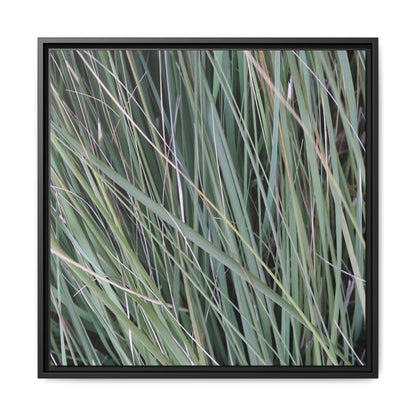 Grassland Symphony - Unique Stretched Canvas Wall Art - Art By Earth