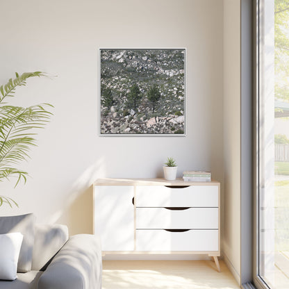 Rocky Hillside with Pine Trees - Unique Stretched Canvas Wall Art - Art By Earth