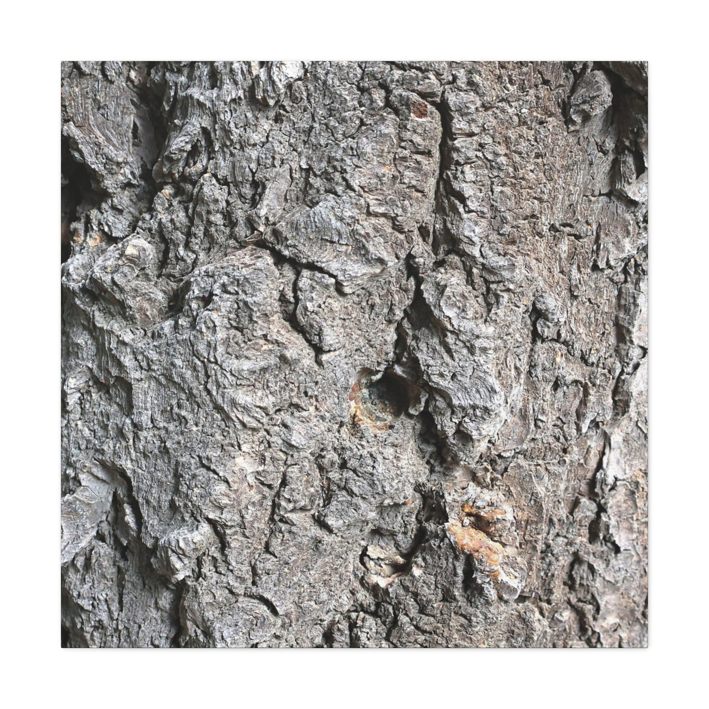 Elemental Canvas - Unique Frameless Canvas Wall Art - Art By Earth