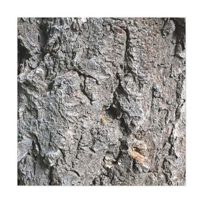 Elemental Canvas - Unique Frameless Canvas Wall Art - Art By Earth