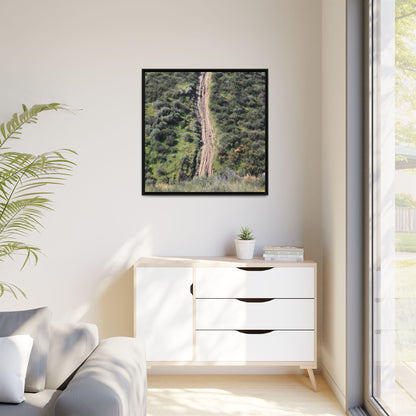 Desert Path Through Sage - Unique Stretched Canvas Wall Art - Art By Earth