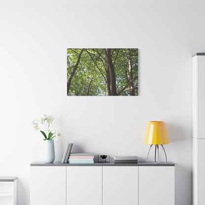 Canopy of Light - Unique Frameless Canvas Wall Art
