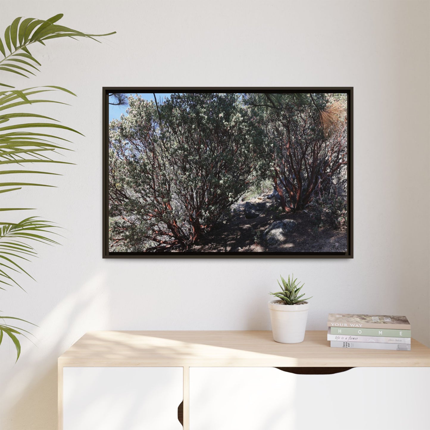 Desert Trail Through Blooming Manzanita - Unique Stretched Canvas Wall Art