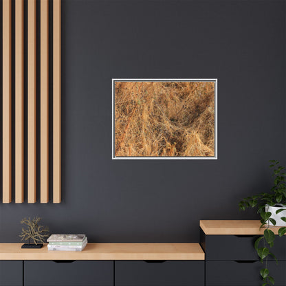 Dried Vegetation Study - Unique Stretched Canvas Wall Art - Art By Earth