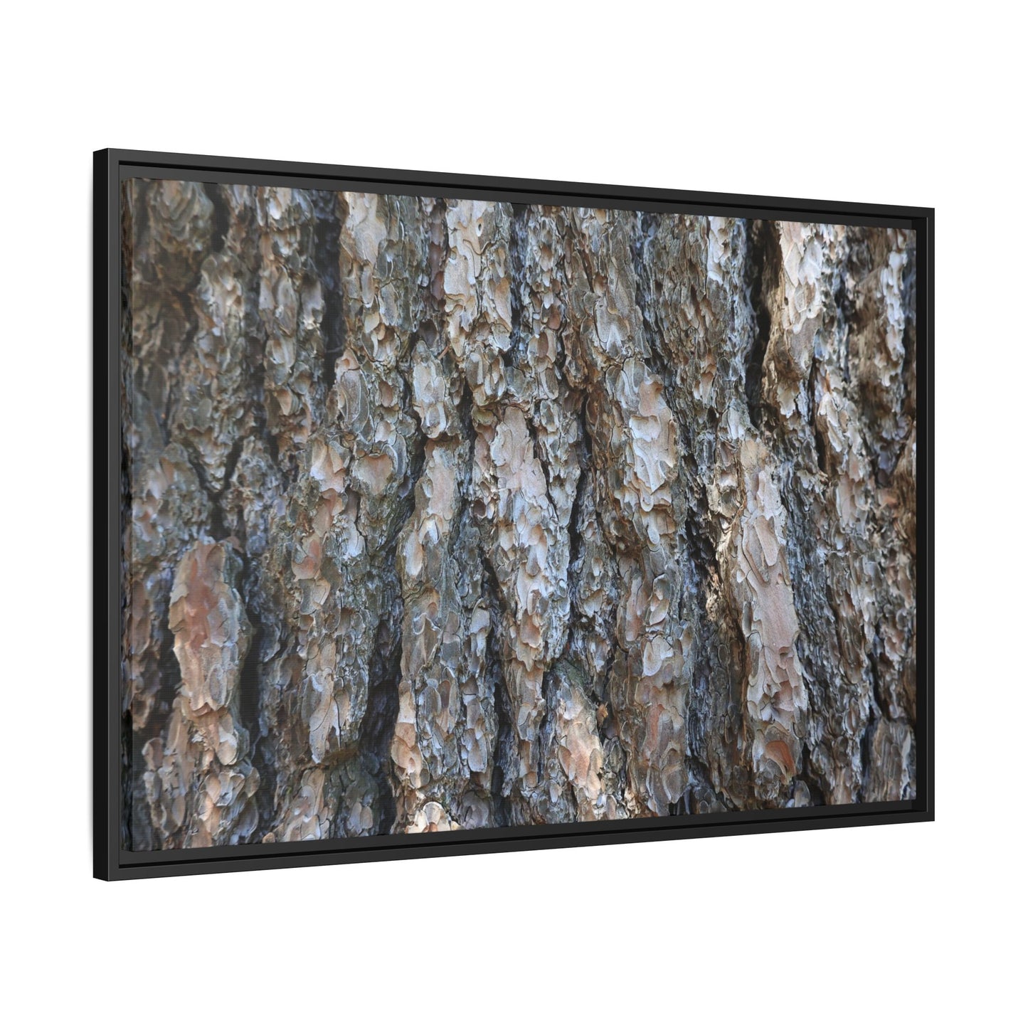 Bark Whispers - Unique Stretched Canvas Wall Art - Art By Earth