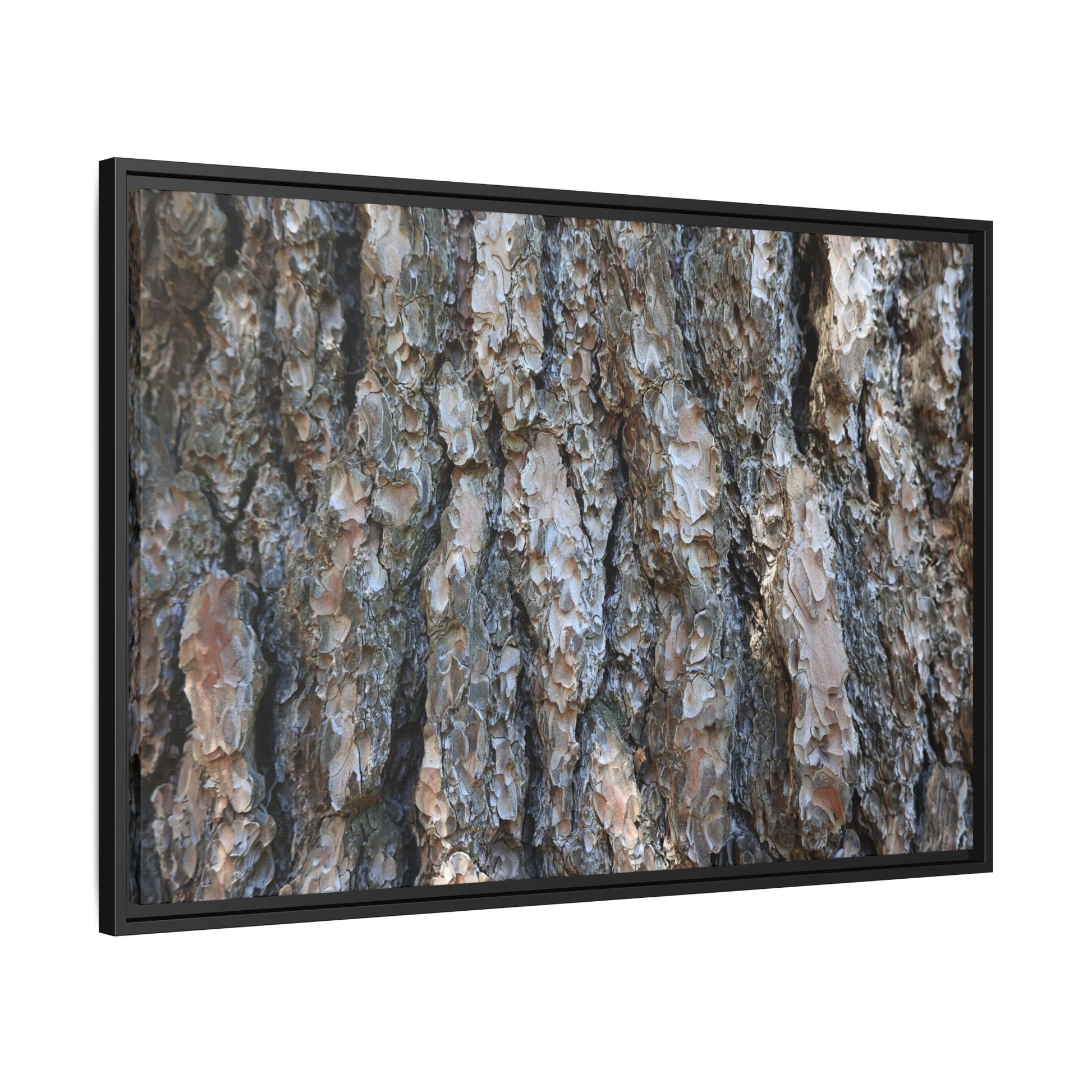 Bark Whispers - Unique Stretched Canvas Wall Art - Art By Earth