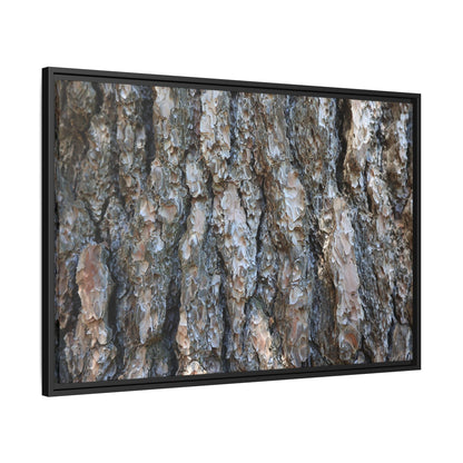 Bark Whispers - Unique Stretched Canvas Wall Art - Art By Earth