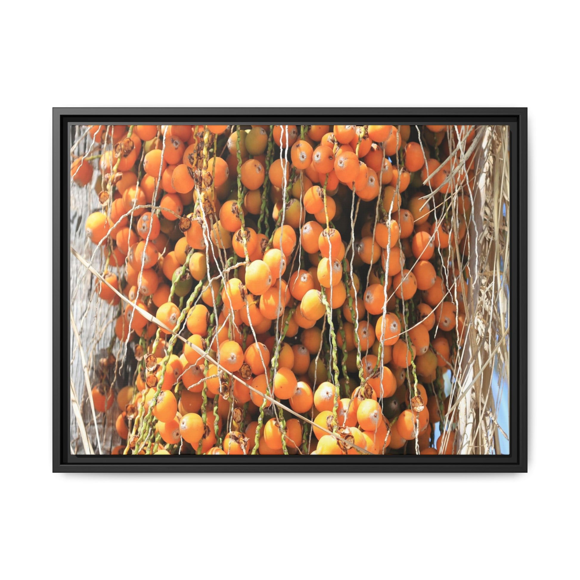 Clusters of Sunlight - Unique Canvas Wall Art - Art By Earth