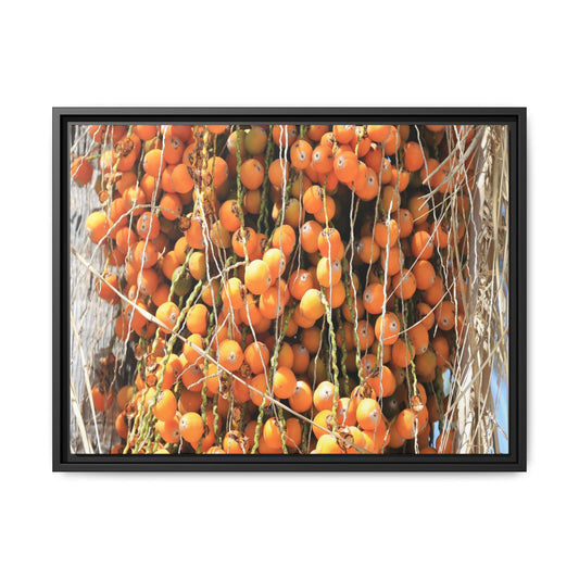 Clusters of Sunlight - Unique Canvas Wall Art - Art By Earth