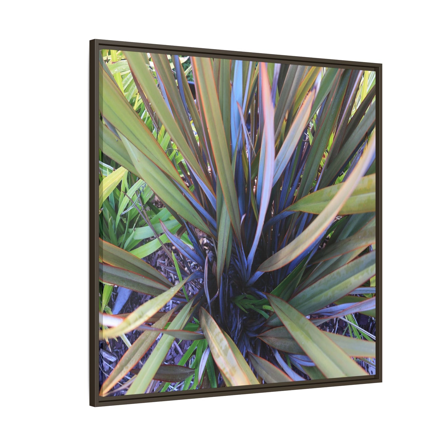 Radiant Leaves - Unique Stretched Canvas Wall Art - Art By Earth