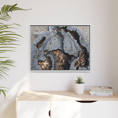 Time's Fractal Memory - Unique Stretched Canvas Wall Art - Art By Earth