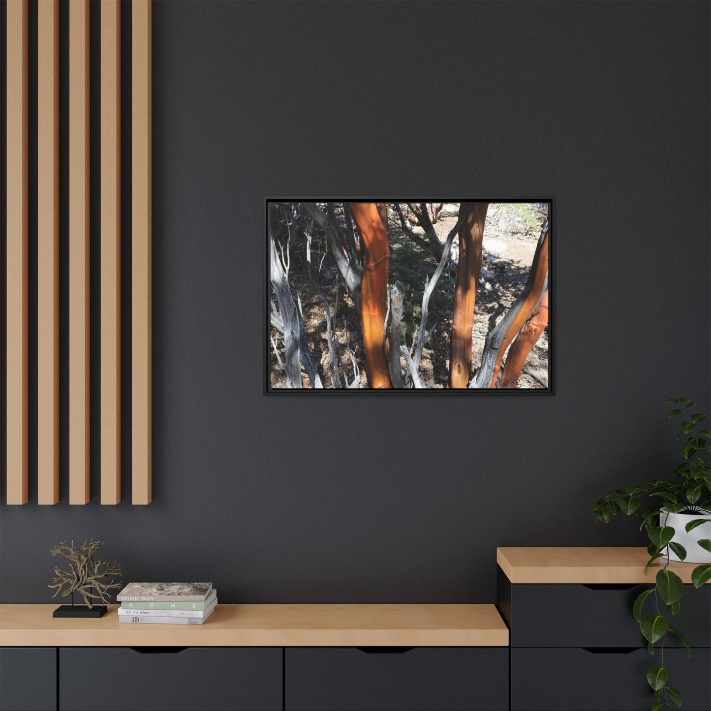 Eucalyptus Grove - Unique Stretched Canvas Wall Art