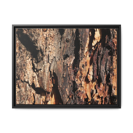Rugged Beauty - Unique Stretched Canvas Wall Art - Art By Earth