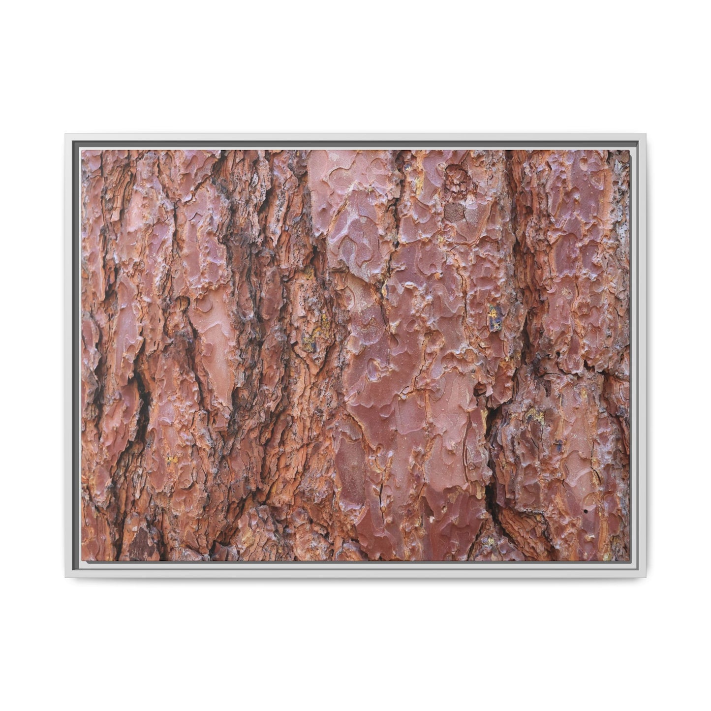 Russet Ridges - Unique Stretched Canvas Wall Art - Art By Earth