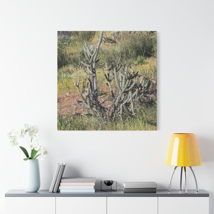 Desert Bloom in Shadow - Unique Frameless Canvas Wall Art - Art By Earth