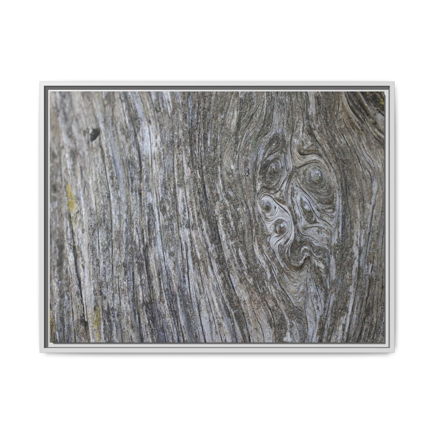 Eternal Knots - Unique Stretched Canvas Wall Art - Art By Earth