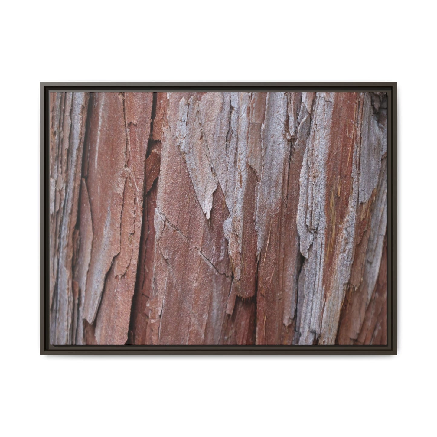 Time and Decay - Unique Stretched Canvas Wall Art - Art By Earth