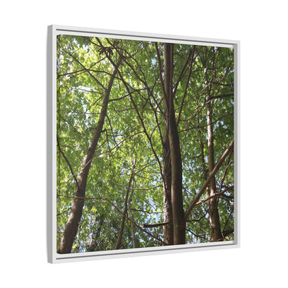 Forest Branches - Unique Stretched Canvas Wall Art