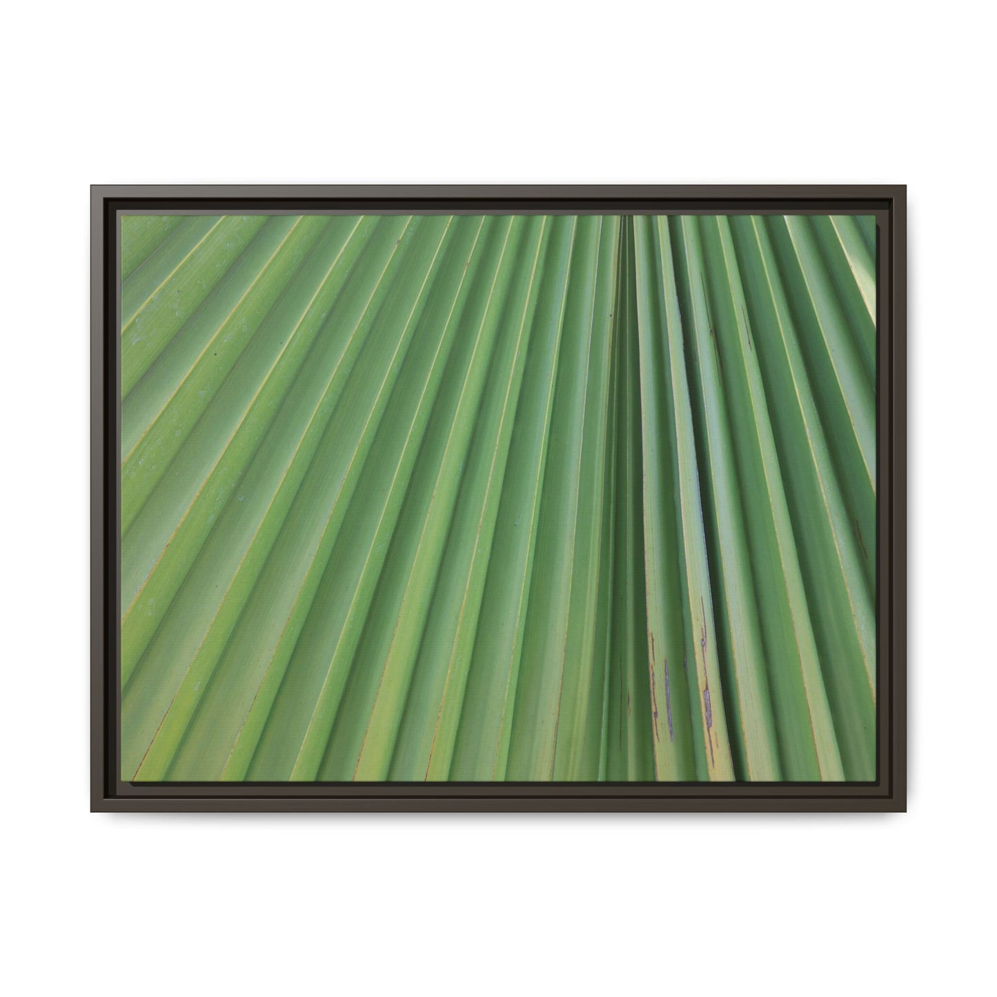 Emerald Rays - Unique Stretched Canvas Wall Art - Art By Earth