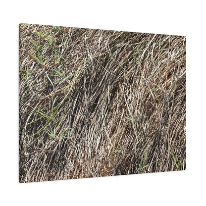 Tangled Wilderness - Unique Stretched Canvas Wall Art - Art By Earth