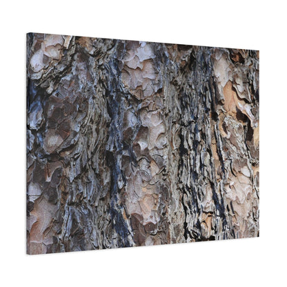 Bark's Rugged Symphony - Unique Frameless Canvas Wall Art - Art By Earth